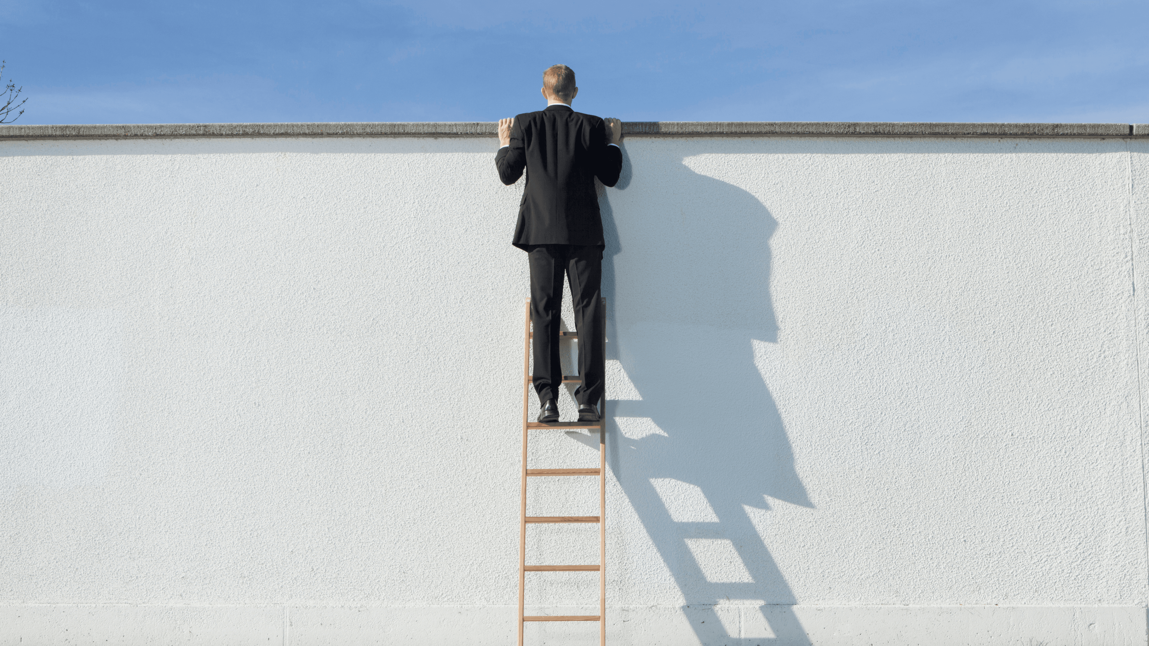 Iemand die op een ladder staat en over een hoge muur kijkt